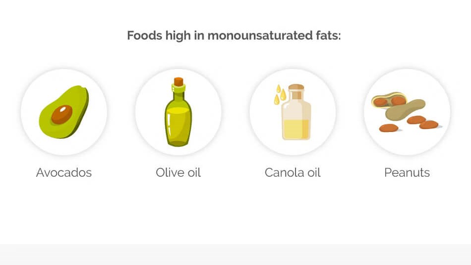 types of fat infographic